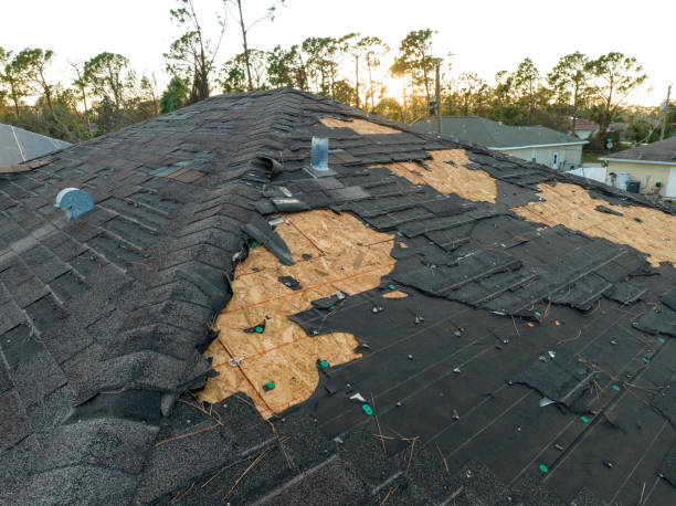 Best Emergency Roof Repair Services  in Affton, MO